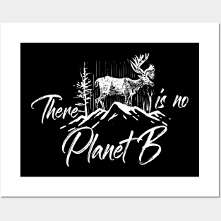 There Is No Planet, B Posters and Art